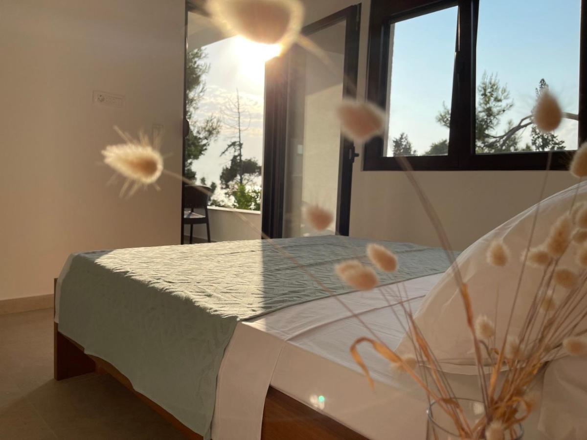 Zia Apartments บาร์ ภายนอก รูปภาพ